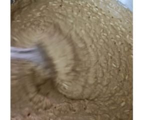 melon seeds