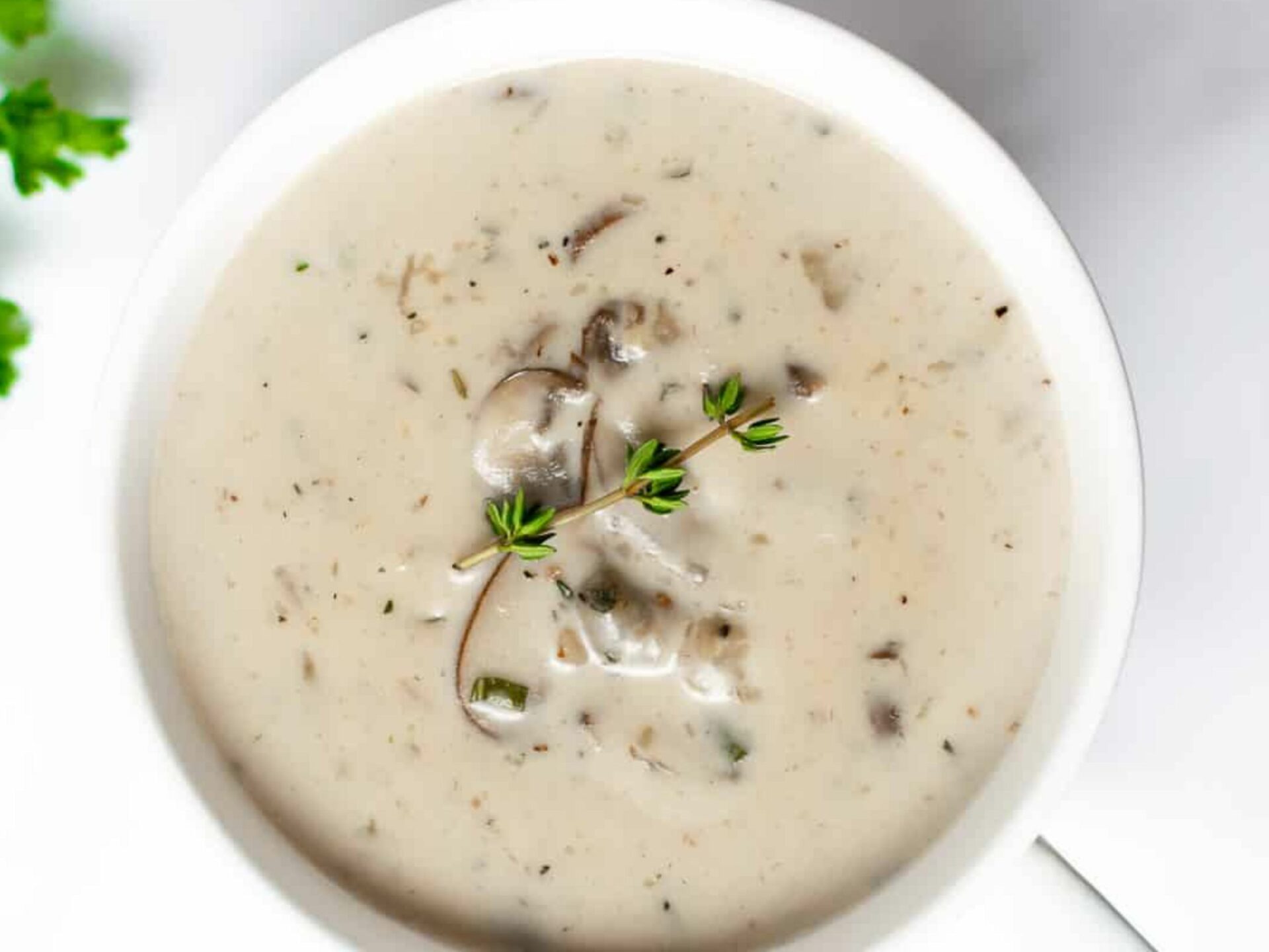 vegan cream of mushroom for diabetes